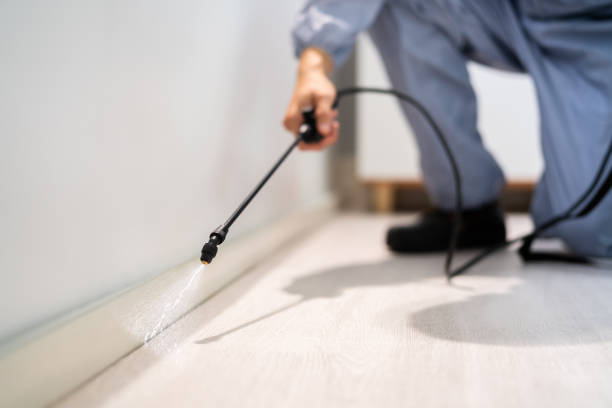 Licensed Rodent Control service in Port Sulphur, LA - Nex Pest Control