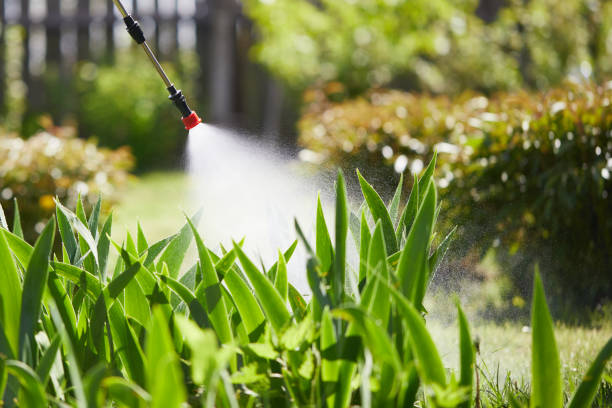 24/7 Emergency Rodent Control experts in Port Sulphur, LA