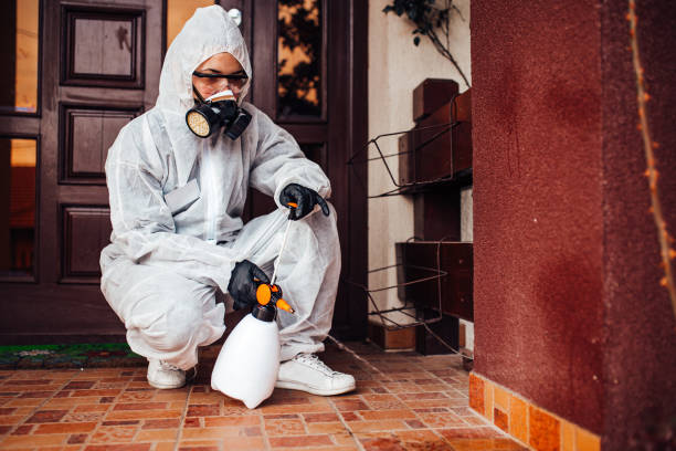 Reliable Rodent Control contractor in Port Sulphur, LA by Nex Pest Control