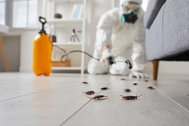 Trusted Cockroach Control service in Port Sulphur, LA - Nex Pest Control
