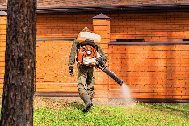 Trusted Emergency Pest Control service in Port Sulphur, LA - Nex Pest Control